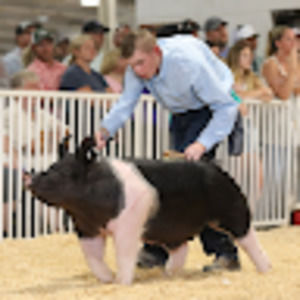 Meet your Posher, Logan